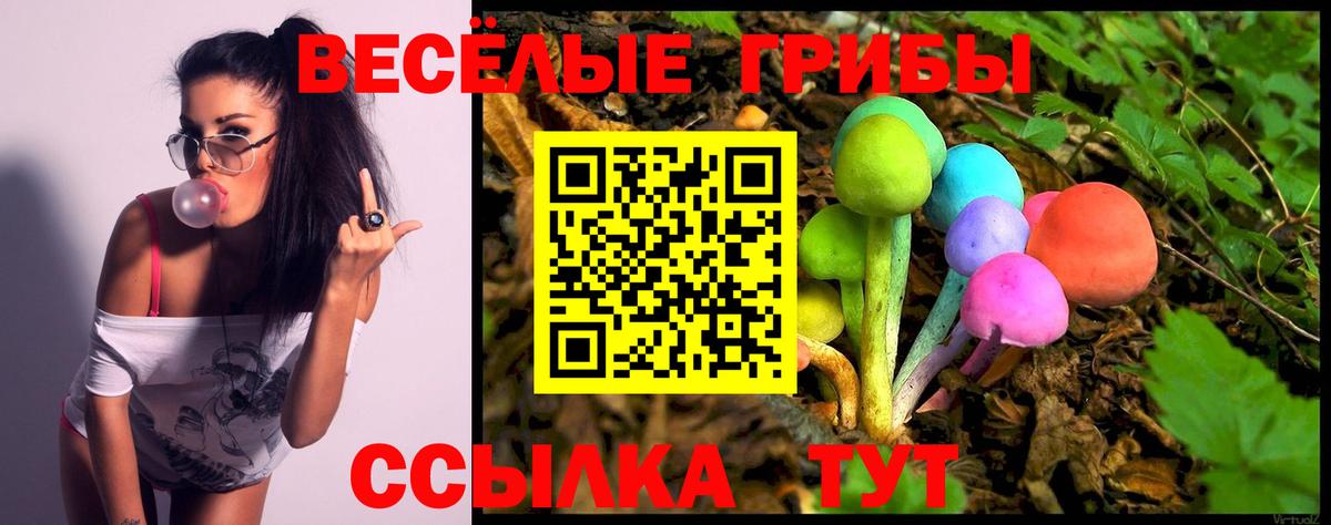 Псилоцибиновые грибы Cubensis  Вход с VPN  Магадан  Псилоцибиновые грибы MAGIC MUSHROOMS 